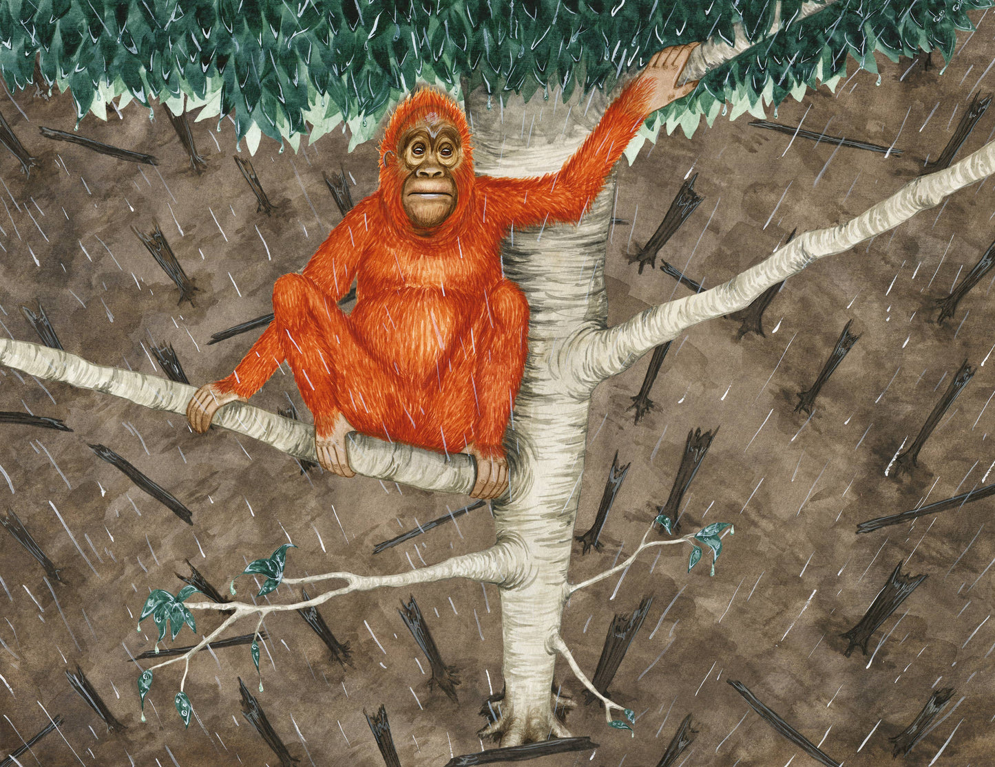 Buddy's Rainforest Rescue