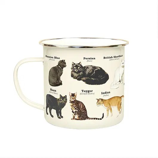 Enamel Mug