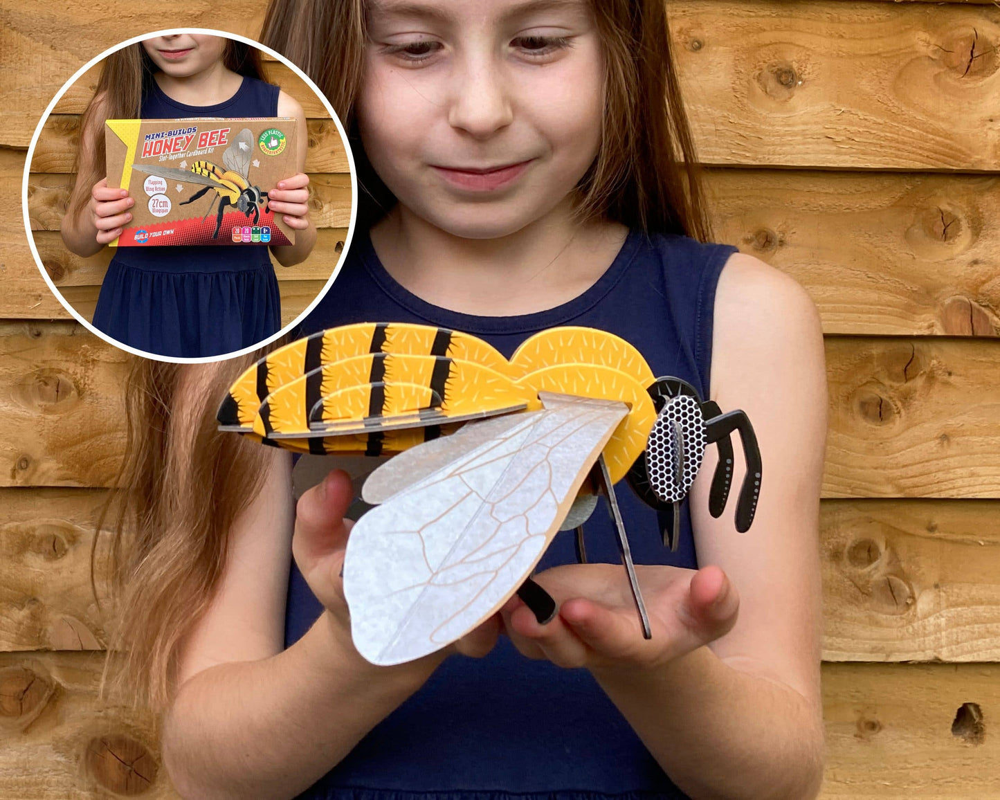Build Your Own Honey Bee - Eco-Friendly Cardboard Craft Kit