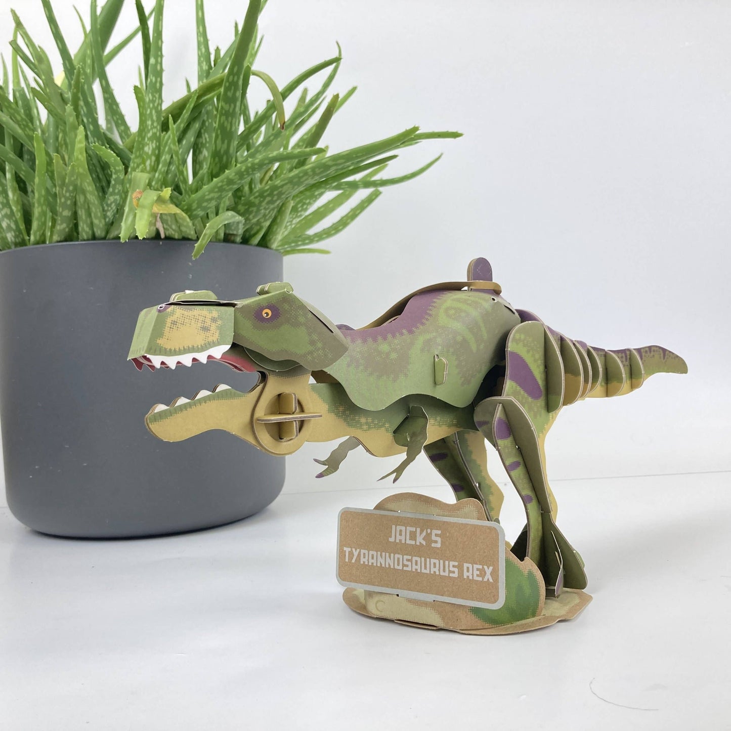 Build Your Own Tyrannosaurus Rex - Eco-Friendly Craft Kit