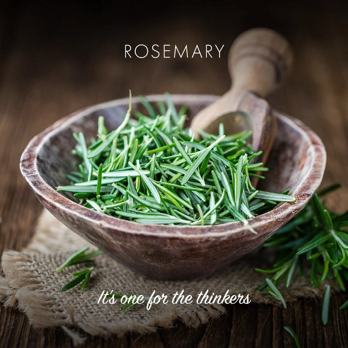 Rosemary Eco Friendly Soap Bar