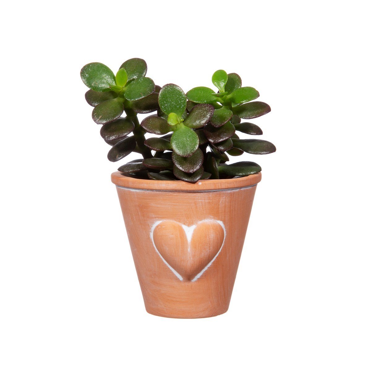 Mini Terracotta Planter With Heart - MY VALLEY