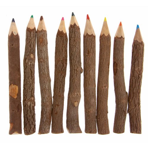 Twig colour pencils, pack of 10, 13cm - MY VALLEY